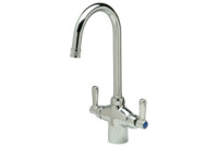 Zurn Z826B1-XL AquaSpec Double Laboratory Faucet