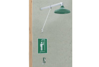 Haws 8111FP Wall-Mounted Freeze-Resistant Drench Shower