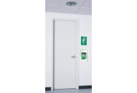 Haws 8164 Over-the-Door Drench Shower (with Stainless Steel Showerhead and Pull Down Valve)