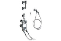 Chicago 910-GCP Wall Mounted Pedal Valve Bed Pan Cleaner