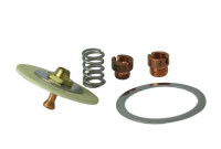 Halsey Taylor 60-08050-51-550 Diaphragm Repair Kit