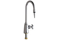 Chicago 969-217XLHCTF Deck Mounted Distilled Water Faucet