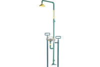 Speakman SE-618 Frostproof Combination Drench Shower & Eyewash (with Rectangular Stainless Steel Receptor and Impeller Action Showerhead) (Discontinued)