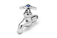 T&S Brass B-0704 Sill Faucet