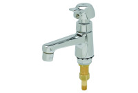 T&S Brass B-0712-PA Sill Faucet