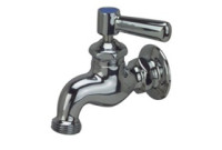 Zurn Z81301-XL Wall-Mounted Single Sink Faucet