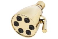 Speakman S-2252-PB 6-Jet Anystream Showerhead - Polished Brass