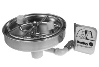 Bradley S19-230H Unmounted Eye/Face Wash (with Plastic Receptor and Spray Ring)