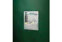 Bradley S19-270HC Swing-Down Cabinet-Mounted Eye/Face Wash