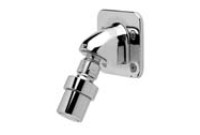 Zurn Z7000-i7 Institutional Wall Mount Shower Head 