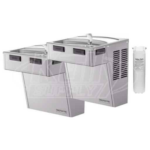 Halsey Taylor HAC8FS-BLR-WF-Q-PV Filtered Dual Drinking Fountain