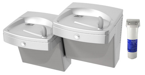 Oasis PGVF8ACSL Filtered Vandal-Resistant Dual Drinking Fountain