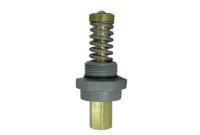 Halsey Taylor 60-14829-51-550 Plastic Stem Assembly