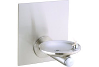 Elkay EDFPBWV114C NON-REFRIGERATED In-Wall Drinking Fountain with Vandal-Resistant Bubbler