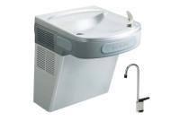 Elkay EZSDSF Stainless Steel NON-REFRIGERATED Drinking Fountain with Glass Filler