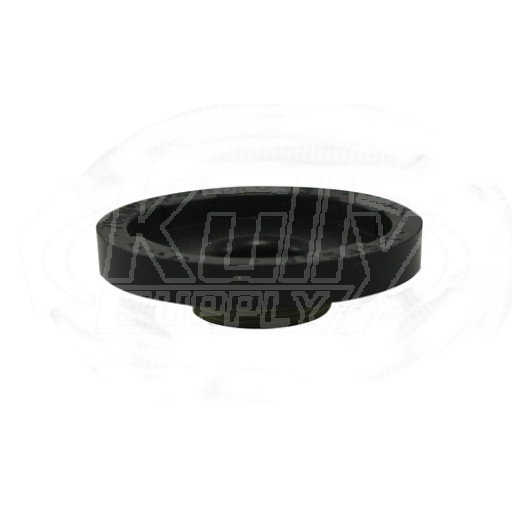 Zurn P6000-E14 Molded Disc