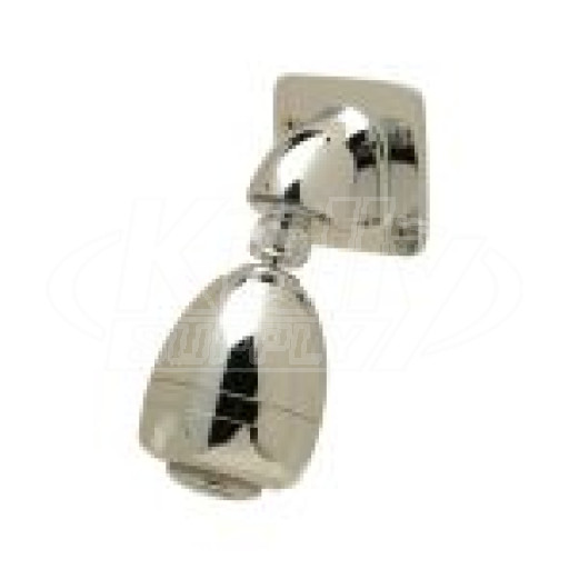 Zurn Z7000-i9 Institutional Wall Mount Shower Head