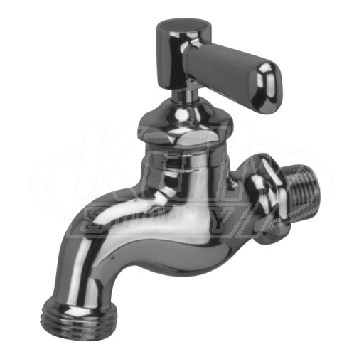 Zurn Z80501 Wall-Mounted Single Sink Faucet