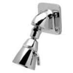 Zurn Z7000-i5 Institutional Wall Mount Shower Head 