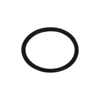 Zurn 58155020 O-Ring 
