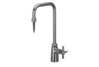 Zurn Z82800 Deionized Single Lab Faucet